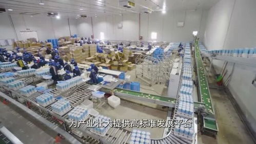 车间种“科技菇”，猪牛住高楼大厦——贵港设施农业区内的遥遥领先和住宿服务新发展